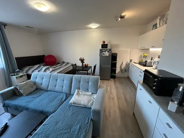 Pronájem bytu 1+kk, Brno, Gajdošova, 37 m2