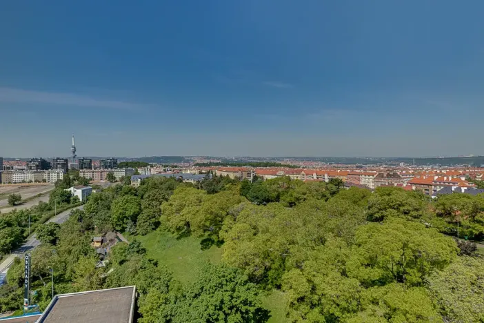 Pronájem bytu 1+kk, Praha - Žižkov, Olgy Havlové, 35 m2