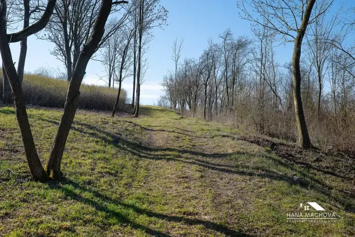 Prodej pozemku pro bydlení, Kopidlno, Na Vinici, 8371 m2