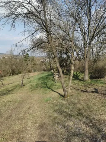 Prodej pozemku pro bydlení, Kopidlno, Na Vinici, 8371 m2