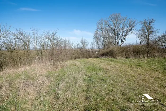 Prodej pozemku pro bydlení, Kopidlno, Na Vinici, 8371 m2