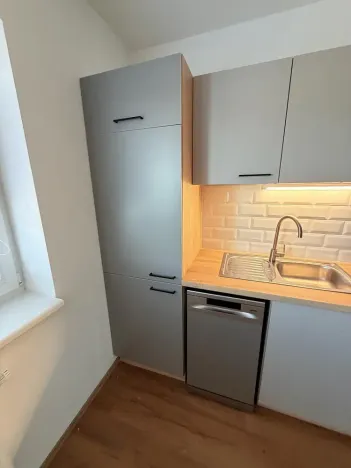 Pronájem bytu 2+kk, Brno - Ivanovice, Hřebíčková, 48 m2