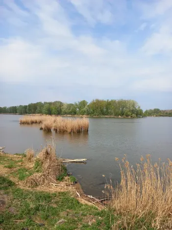Prodej pozemku pro bydlení, Dolní Věstonice, 1941 m2