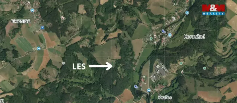 Prodej lesa, Koroužné, 4497 m2