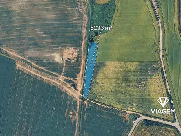 Prodej podílu pole, Zlatníky-Hodkovice, 290 m2