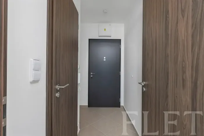 Pronájem bytu 1+kk, Praha - Dolní Měcholupy, Honzíkova, 30 m2