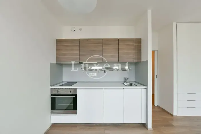 Pronájem bytu 1+kk, Praha - Vinohrady, Lucemburská, 30 m2