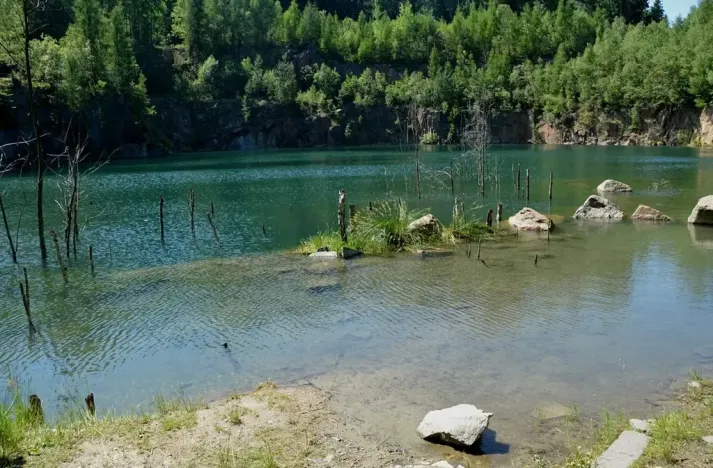 Prodej rybníku, Lipová, 29704 m2
