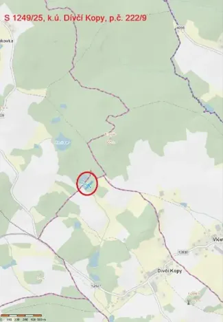 Prodej lesa, Dívčí Kopy, 3000 m2