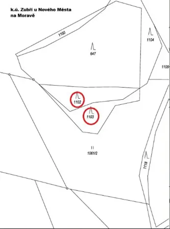 Prodej lesa, Zubří, 843 m2