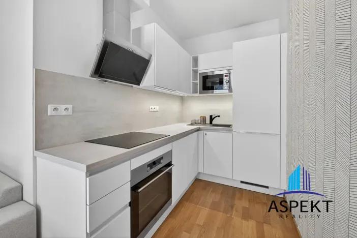 Pronájem bytu 2+kk, Praha - Holešovice, Dělnická, 52 m2
