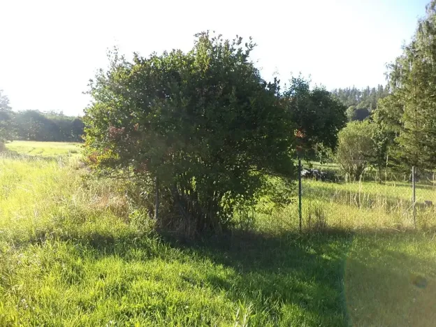 Dražba zahrady, Město Albrechtice, 694 m2
