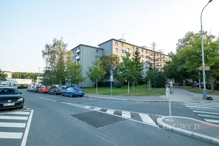 Pronájem bytu 2+1, Praha - Žižkov, Pod lipami, 52 m2