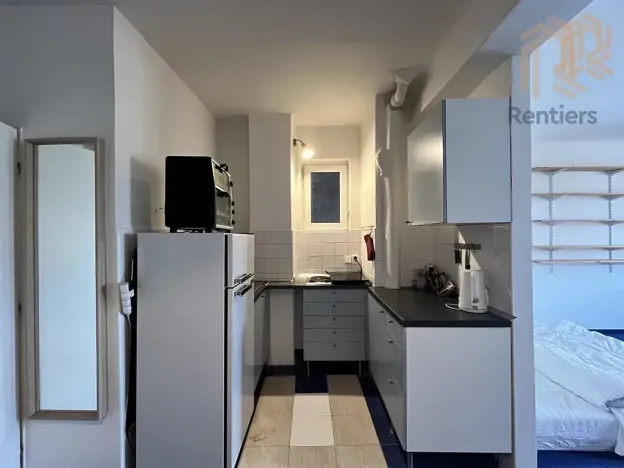 Pronájem bytu 1+kk, Praha - Vinohrady, Přemyslovská, 41 m2