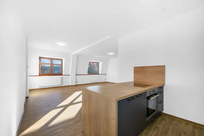 Pronájem bytu 1+kk, Plzeň - Severní Předměstí, Bolevecká, 55 m2