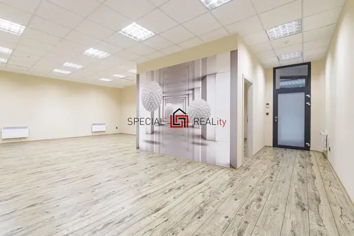 Prodej skladu, Ostrava, U Staré elektrárny, 121 m2
