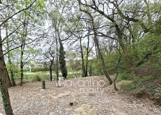 Pronájem ubytování, Brno, Cacovická, 371 m2