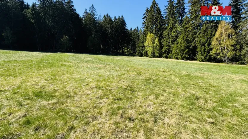 Prodej louky, Stachy, 4150 m2