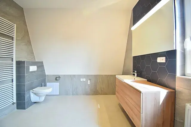 Pronájem bytu 3+kk, Chomutov, Puchmayerova, 136 m2