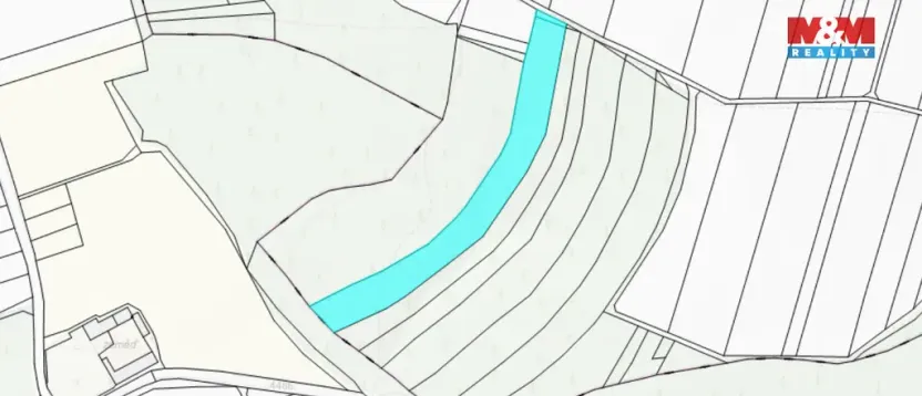 Prodej lesa, Olbramice, 12592 m2
