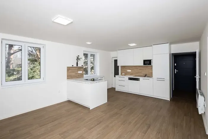 Pronájem bytu 2+kk, Opava, U Hliníku, 46 m2