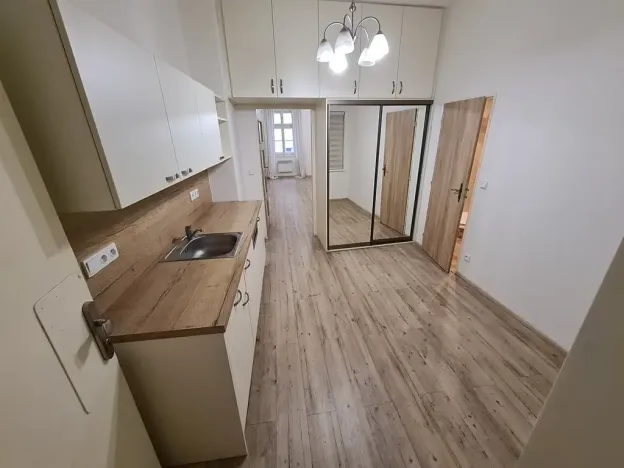 Pronájem bytu 1+kk, Praha - Nové Město, Opletalova, 43 m2