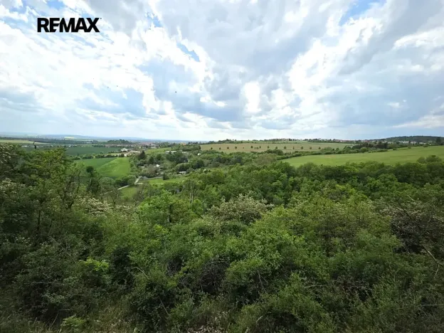 Prodej chaty, Viničné Šumice, 120 m2