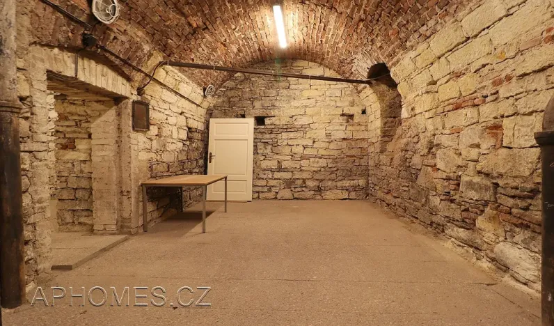 Pronájem skladu, Praha - Nové Město, Opatovická, 61 m2