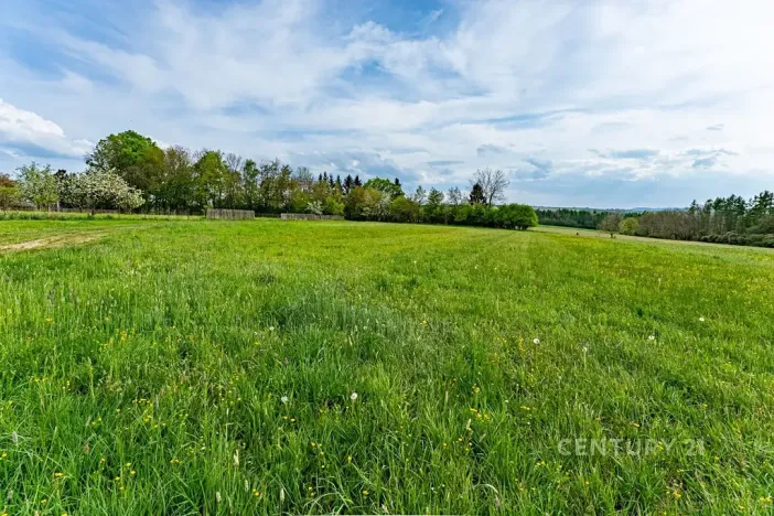 Prodej zemědělské usedlosti, Loket, 80 m2