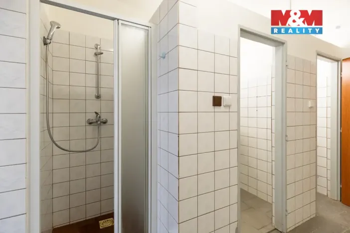 Pronájem výrobních prostor, Dnešice, 694 m2