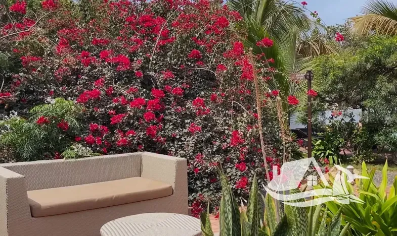 Prodej atypického bytu, Santa Maria, Kapverdy, 42 m2
