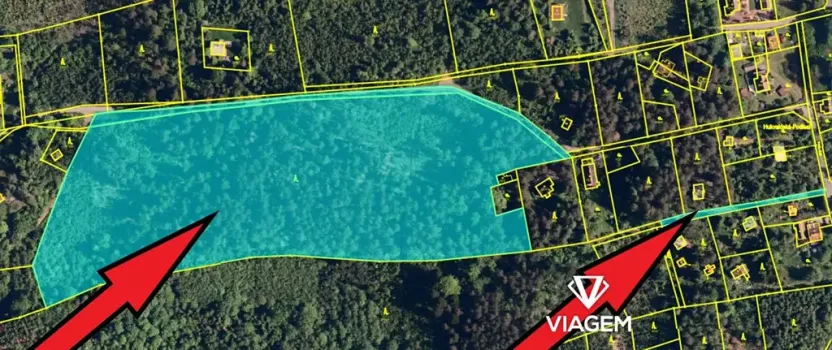 Prodej podílu lesa, Frýdlant nad Ostravicí, 15401 m2