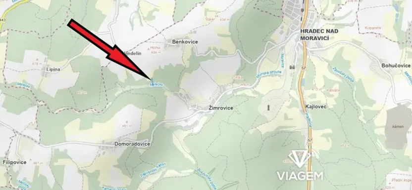 Prodej lesa, Hradec nad Moravicí, 7763 m2