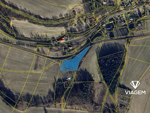 Prodej lesa, Stará Paka, 4641 m2