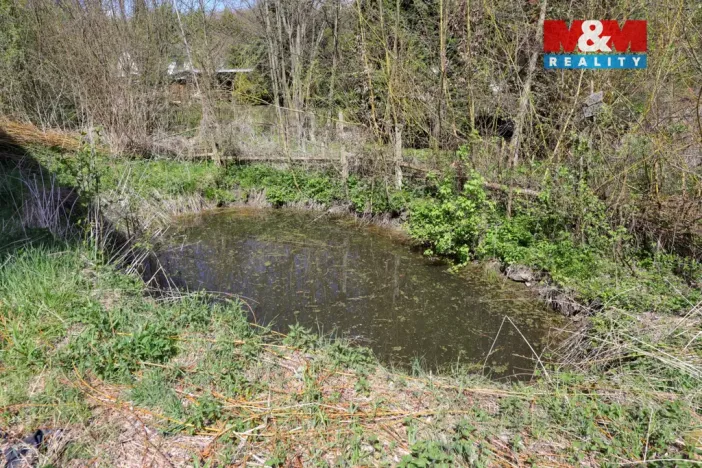 Prodej chalupy, Černíny - Bahno, 80 m2