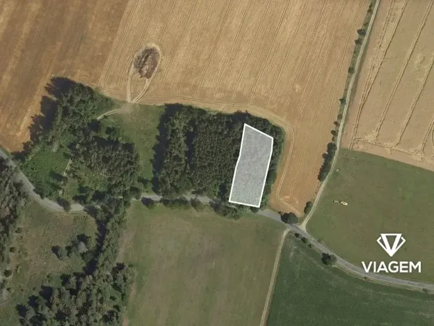 Prodej podílu lesa, Brodek u Konice, 1144 m2