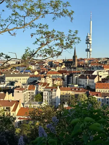 Prodej bytu 2+kk, Praha - Žižkov, Dalimilova, 52 m2