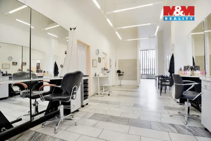 Prodej obchodního prostoru, Chomutov, Palackého, 159 m2