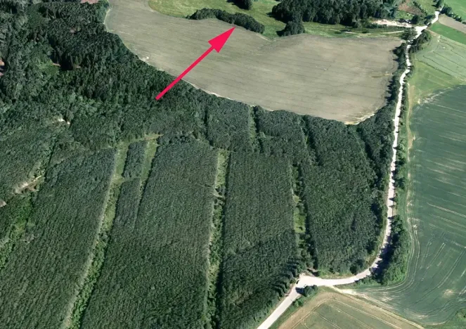 Prodej lesa, Dubnice, 815 m2