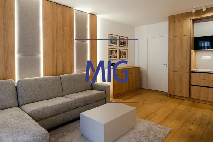 Pronájem bytu 1+kk, Brno, Bratislavská, 45 m2