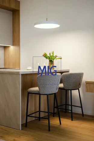 Pronájem bytu 1+kk, Brno, Bratislavská, 45 m2