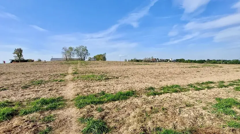 Prodej pozemku pro bydlení, Hrušovany u Brna, Pod Střediskem, 875 m2