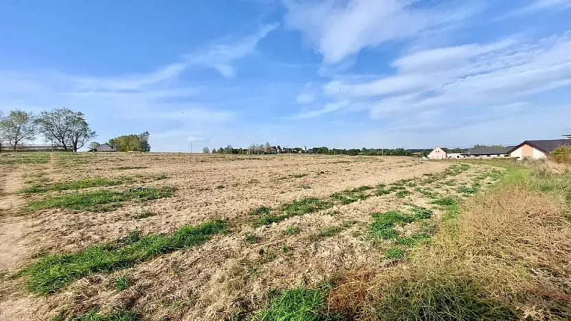 Prodej pozemku pro bydlení, Hrušovany u Brna, Pod Střediskem, 875 m2