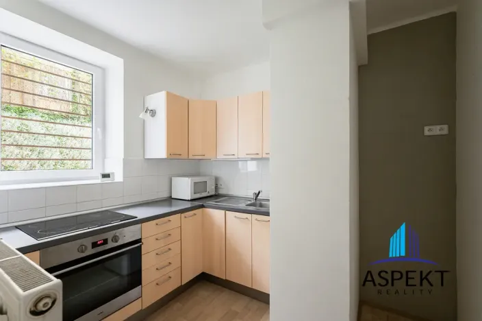 Pronájem bytu 1+1, Praha - Podolí, U podolského hřbitova, 30 m2