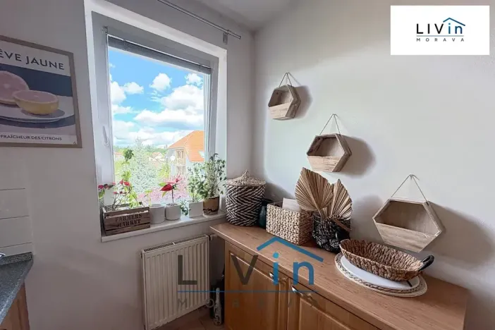 Pronájem bytu 2+1, Olomouc, Horní lán, 78 m2