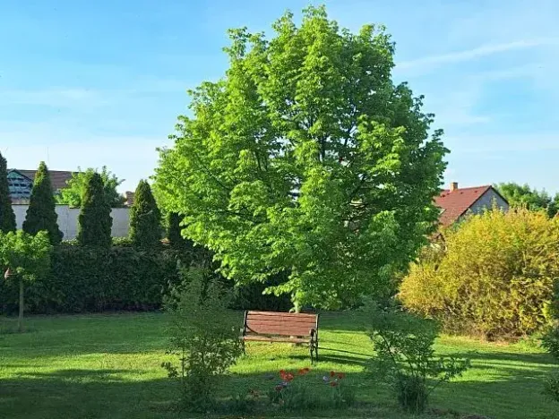 Prodej rodinného domu, Cvrčovice, 168 m2
