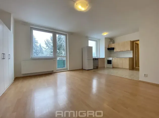Pronájem bytu 1+kk, Brno, Absolonova, 41 m2