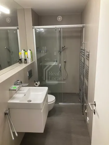 Pronájem rodinného domu, Praha - Dejvice, V Šáreckém údolí, 216 m2