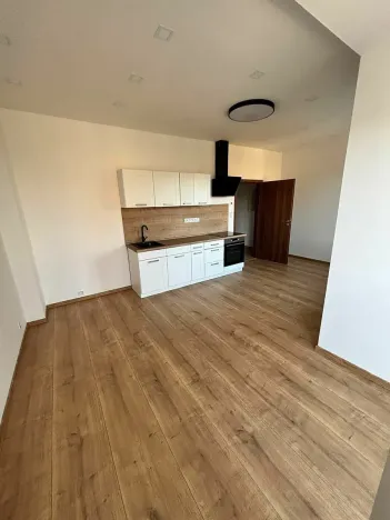 Pronájem bytu 1+kk, Praha - Motol, Podhorská, 27 m2