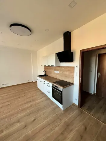 Pronájem bytu 1+kk, Praha - Motol, Podhorská, 27 m2